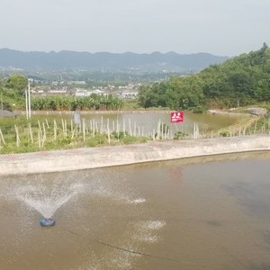 流水岩鱼庄