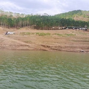 芒杜山野外钓场