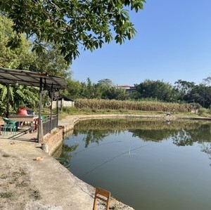 竹林丰钓场天气预报