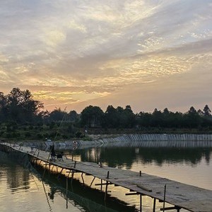 渔鲤相伴娱乐休闲钓场天气预报