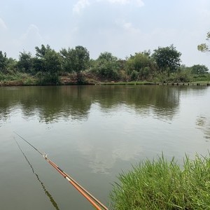 竹桥堂家湾钓场