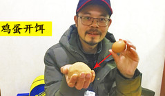 《戶外老曹》鮮雞蛋開餌釣魚，也是冬釣鯽魚的一個奇招！
