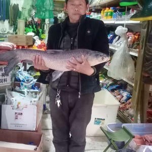 姚釣竿魚具總店