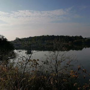 烟店镇向阳村小邓河水库