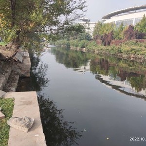 柳林河，双巨排污河天气预报