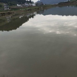 大寨海塘湖天气预报