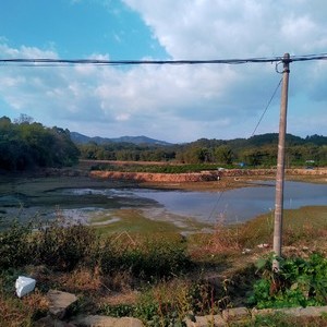 大井溪