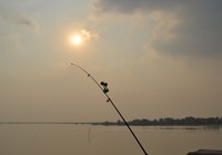 流水中钓鱼的四种钓法