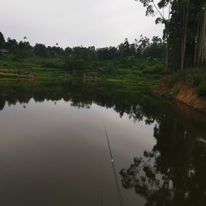 润杨养殖家庭农场