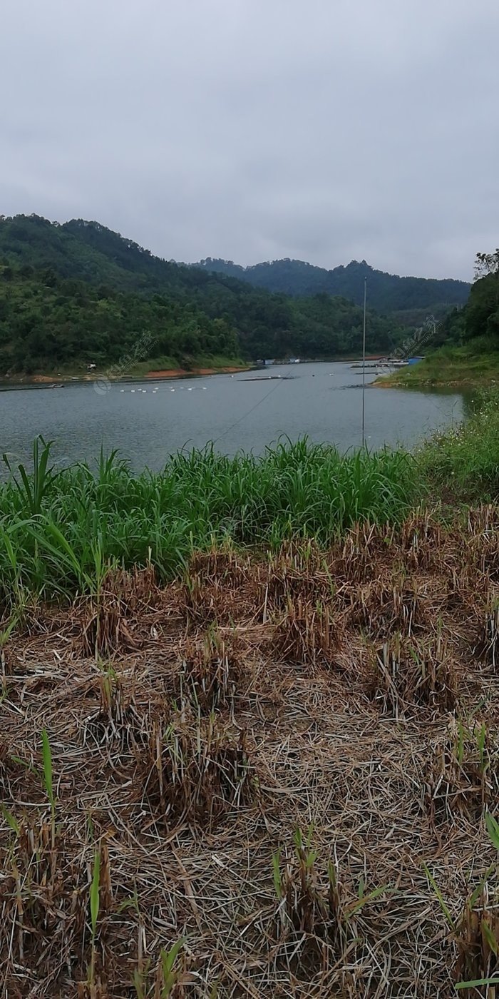 郁南向阳水库简介图片