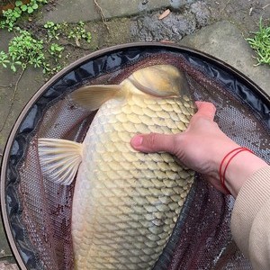 泉湖山庄垂钓