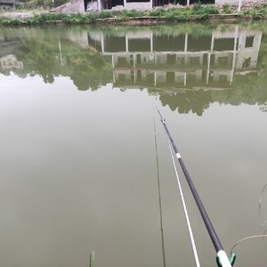 田坪钓鱼场