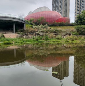 沙坪坝野生钓场