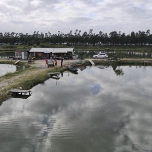 龙穴岛路亚基地