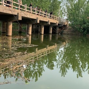 北大河玉兰庙河段
