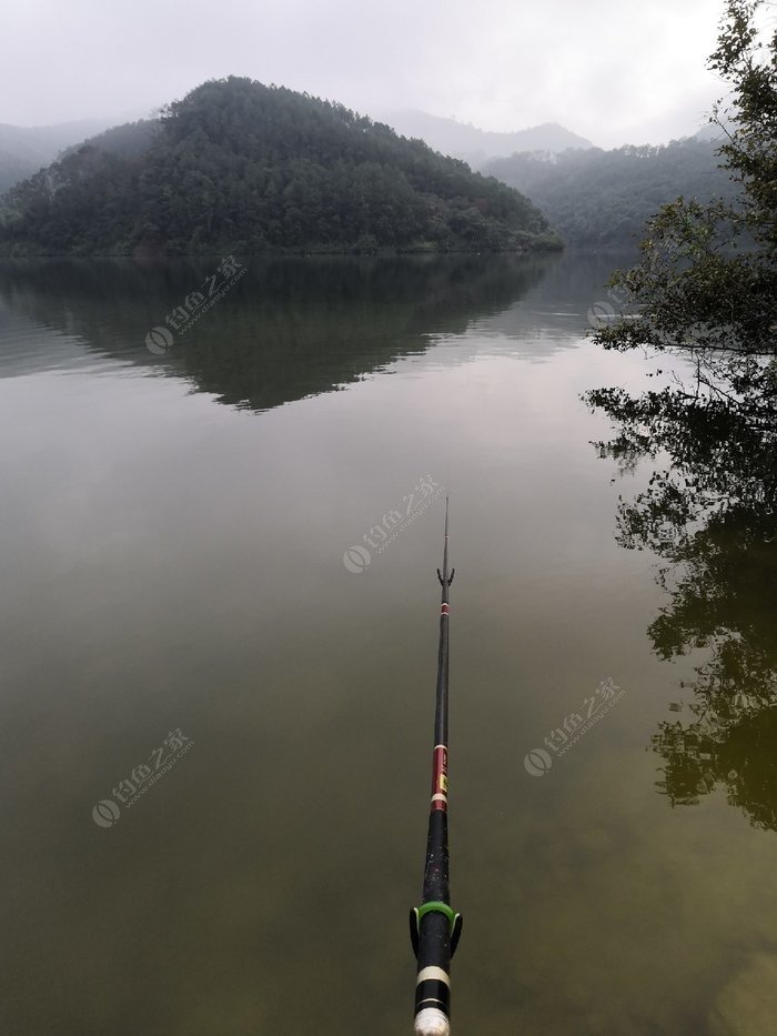 国庆英德长湖水库123456789 钓鱼之家