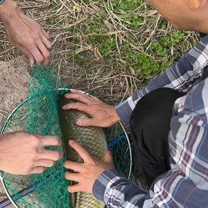 渝北草坪芋头沟钓场