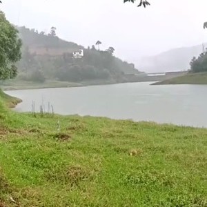 甸萁坝水库天气预报