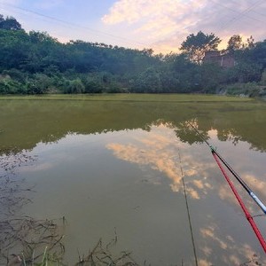 兄弟钓场