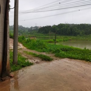 泽溪休闲钓鱼