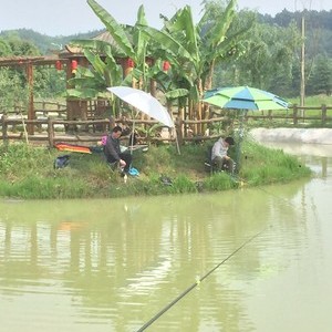 邢江河钓鱼场