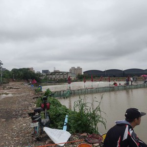 粤海弯生态园钓鱼场