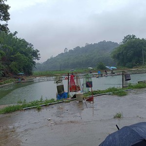 黄牛岭钓场