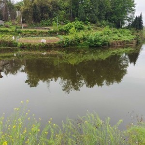 夹沟大塘天气预报