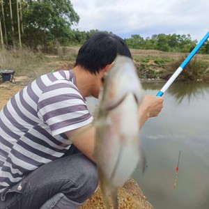 飞鹅行水库