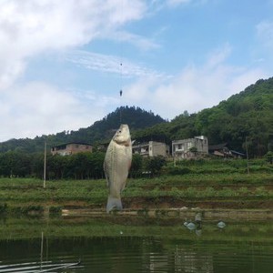 游渔湾休闲垂钓