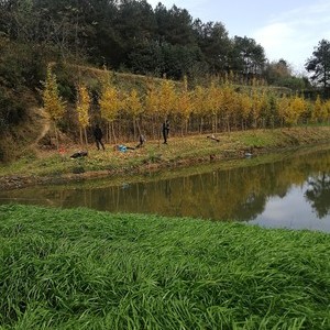 宁家湾村水库