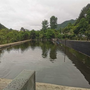 乌当水田休闲垂钓园