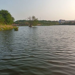 三里桥水库天气预报