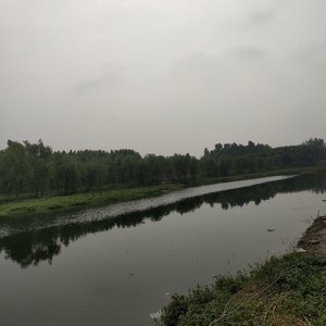 汪庄北河