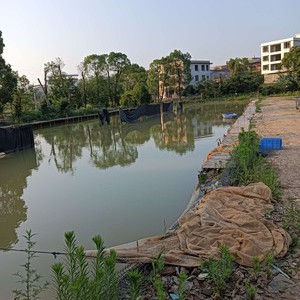 锡力休闲垂钓场天气预报