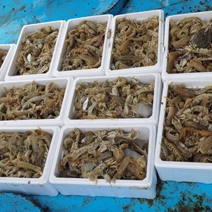 獵魚海釣俱樂部