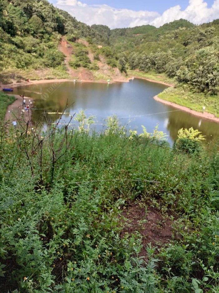 白鸡凹水库垂钓园