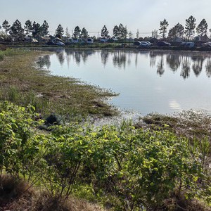 幸孚村海岸花海休闲钓场