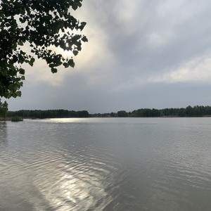 漳河东太平段