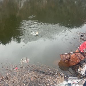 杨家沟水库钓场天气预报