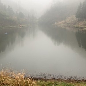 杨家沟水库钓场