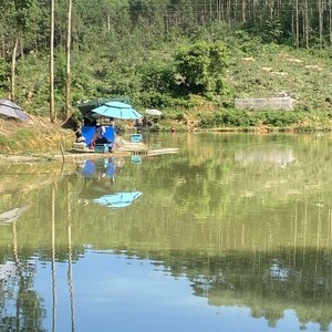 陈村石湖钓鱼场天气预报