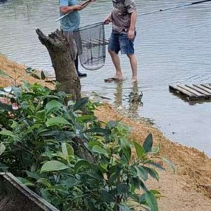 塘外口水库钓鱼场