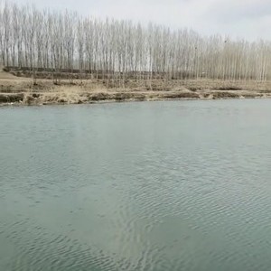 白沟河佟村段