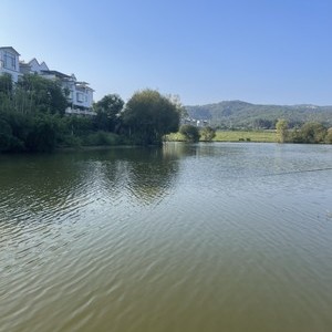 青山绿水生态垂钓园