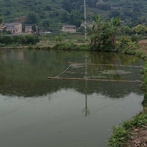 田湾休闲垂钓园天气预报