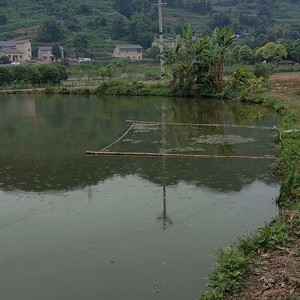 田湾休闲垂钓园