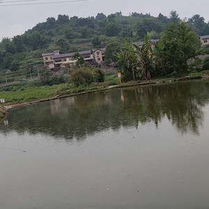 田湾休闲垂钓园