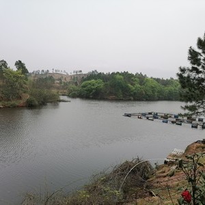 东湖生态渔场