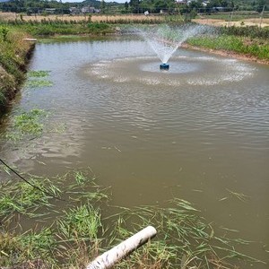 王家湾钓场